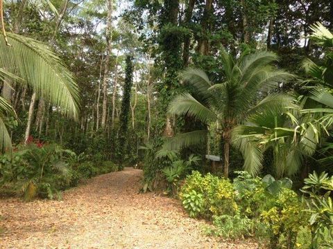 Residential lots with sizes between 1583 m2 or 0,30 - 0,40 acres of unique forest beauty, located next to the entrance of the Cahuita National Park on the side of Puerto Vargas. The access is on the main road that goes from Cahuita to Puerto viejo an...