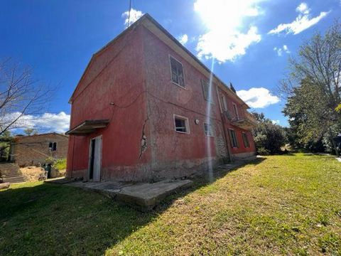 ARCIDOSSO (GR): Organic farm of about 38 Ha with country house and outbuildings, composed of: * 36.5 Ha of arable land partly flat partly gentle hillside; * 1 Ha of olive grove in production; * 5,000 sqm of pasture land; * farmhouse to be renovated o...