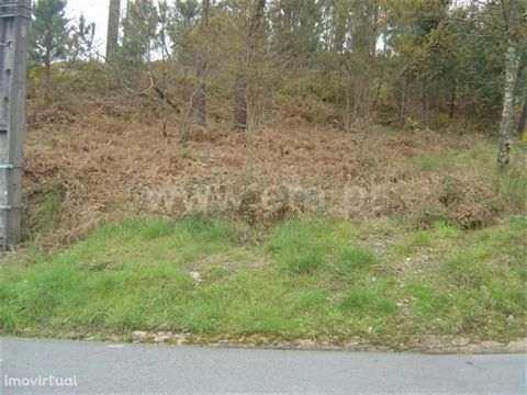Land with area of 2.000m2; Road front; Good sun exposure