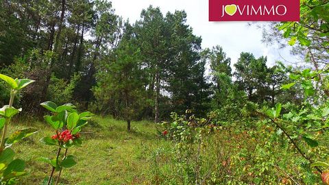 Located in Neuvic. BEAUTIFUL 5570 M2 LAND, PARTLY FORESTED, WITH SOUTH PANORAMIC VIEWS JOVIMMO votre agent commercial Walter JOVENIAUX ... Plot of land of 5570 m2 (1650 m2 of which is building land). Parcelle ZI, located : 6 lieu dit Le terrier (Vinc...