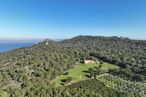 19th century Island property, a very rare opportunity. La Ferme Notre Dame, nestled on the island of Porquerolles, reveals its natural beauty and timeless tranquility. Built in 1856, this historic property extends over more than 13 hectares, offering...