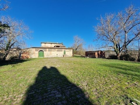 Castelnuovo Berardenga is not only extremely popular due to its proximity to Siena, but also because it is nestled in a landscape that epitomizes the Chianti region like no other area in Tuscany. The seemingly endless hilly landscapes and the absolut...