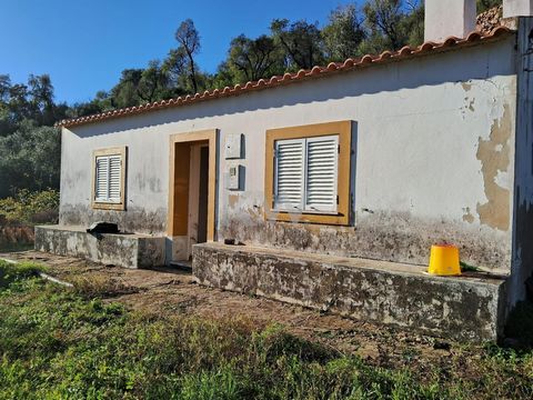 Descubra esta encantadora casa habitável situada em Monchique, rodeada pela beleza natural da serra. Com um terreno espaçoso de 3,8 hectares, este imóvel oferece um espaço perfeito para quem busca tranquilidade e privacidade. A casa acolhedora, com u...