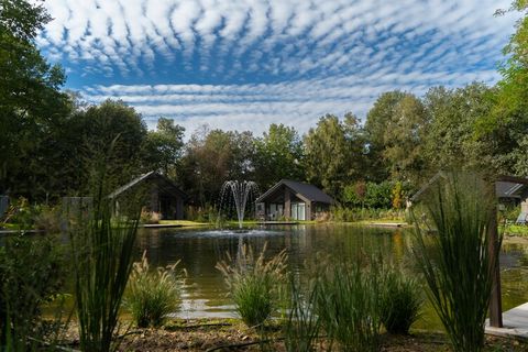 Diese Lodge im lebendigen Ferienpark ist sehr komfortabel und komplett eingerichtet. Sie haben zum Beispiel kostenloses WLAN, eine schöne Sitzecke und eine moderne Küche mit allen Annehmlichkeiten wie einer Spülmaschine. Möchten Sie die Natur genieße...