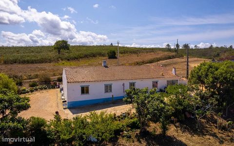 Kleiner Bauernhof in Picão, nur 5 Autominuten vom Strand Arrifana entfernt. Mit einer Fläche von 2,6 ha mit einem Haus von 160 m2 und auch einem kleinen ländlichen Bau. Es verfügt über ein Wohnzimmer, eine Küche, ein Badezimmer, 3 Schlafzimmer und ei...