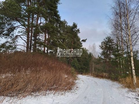 1688401 В районе г. Лахденпохья, в очень маленьком поселке Уусикюля (в переводе с финского языка название посёлка переводится как «Новая деревня») предлагаем земельный участок с видом разрешенного использования - для строительства жилого жома. Участо...