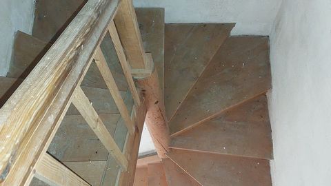 photo no. 13
