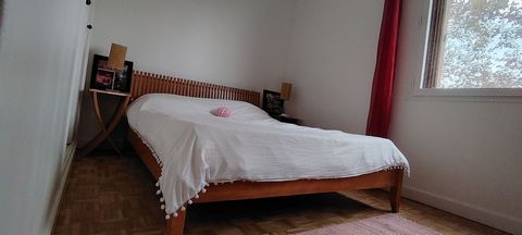 photo no. 16