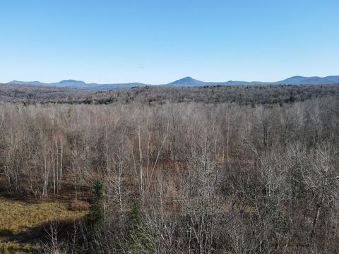 Opportunité à saisir avant qu'il ne soit trop tard. Localité à moins de 10 minutes du village de Mansonville et 15 minutes du Mont Owl's Head, 20 minutes de Jay Peak. Nouveaux terrains suite a une subdivision de terrain a Highwater (8 terrains). Terr...