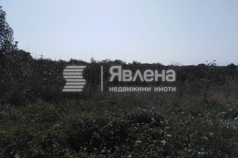 Yavlena Agency offers to your attention a wonderful plot of land, with a way of permanent use levels, fourth category, located near the area 