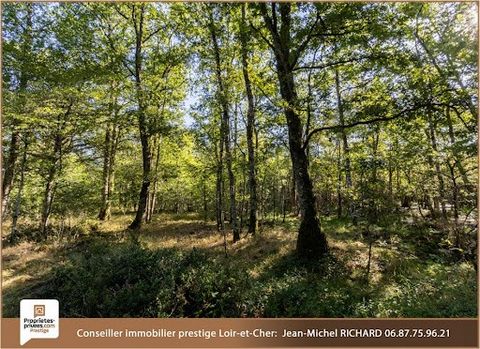 Sologne - jacht- en recreatiegebied - 10 hectares ---------- In EXCLUSIVITEIT biedt Jean-Michel RICHARD u in SOLOGNE een jachtgebied van 10 hectare zonder bebouwing. Verkoopprijs: 160000 euro **** Gelegen in een natuurlijke omgeving, midden in een bo...