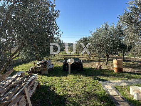 Location: Zadarska županija, Zadar, Crno. For sale, landscaped agricultural land with a garden and a house in Crna - 2,046 m² Agricultural land of 2,046 m² is for sale in a quiet part of Crni, not far from Zadar. The plot is completely landscaped and...