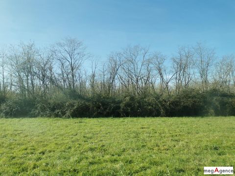 photo no. 18