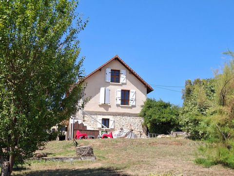 photo no. 4
