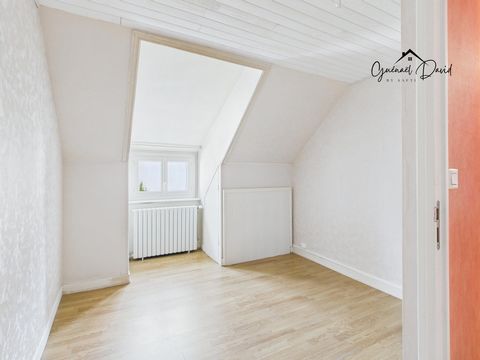 photo no. 10