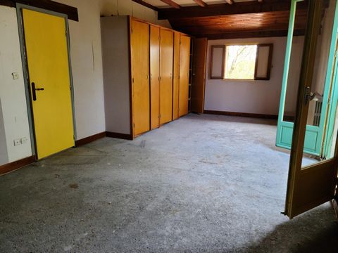 photo no. 10