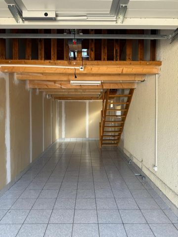 photo no. 8