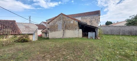 photo no. 13