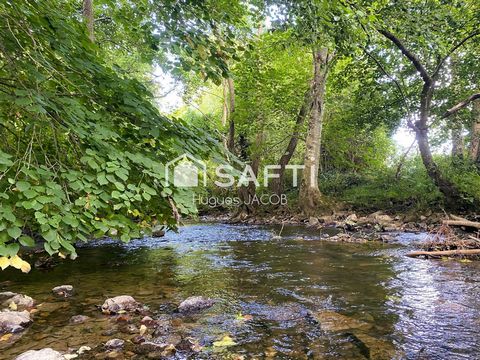 photo no. 14