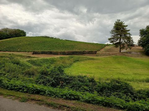 photo no. 3