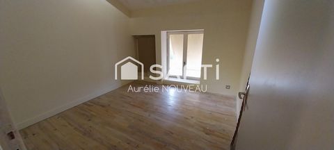 photo no. 11