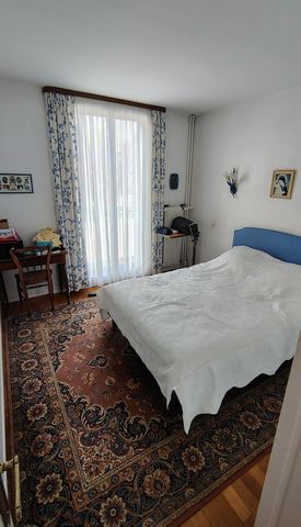 photo no. 6