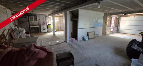 photo no. 12