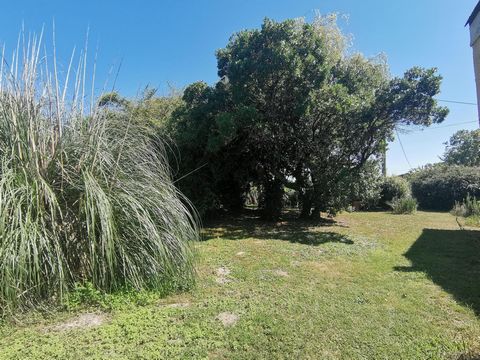 maison en pierre, 6 chambres, val de livenne, grand terrain