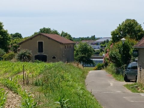 photo no. 2