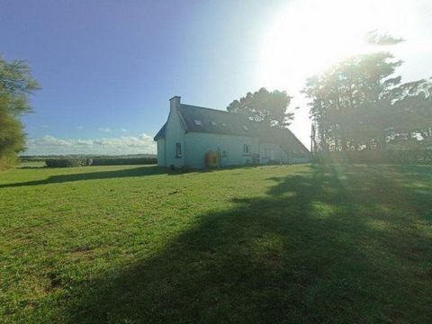 photo no. 11