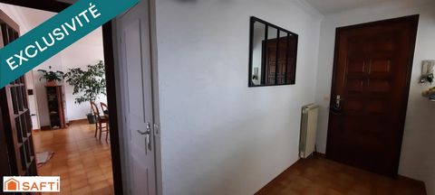 photo no. 6