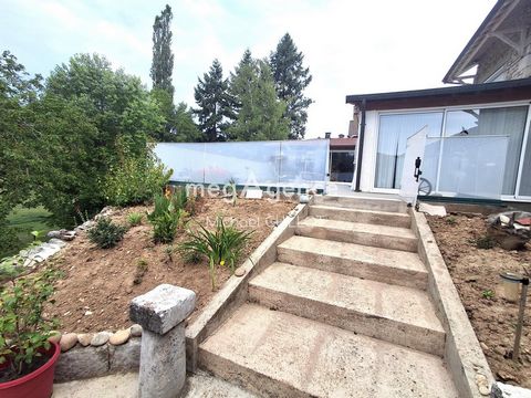 photo no. 2