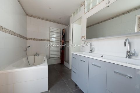 photo no. 4