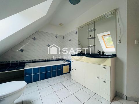 photo no. 11