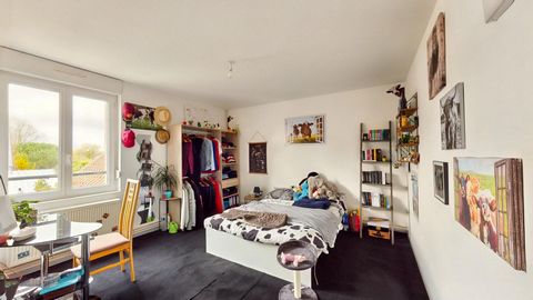 photo no. 11