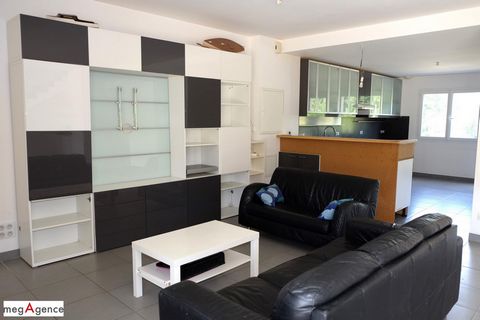 photo no. 11