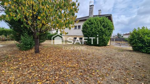 photo no. 11