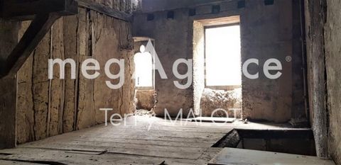 photo no. 10