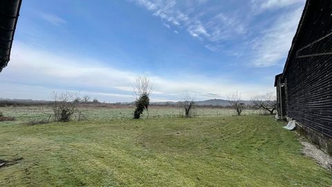 photo no. 4