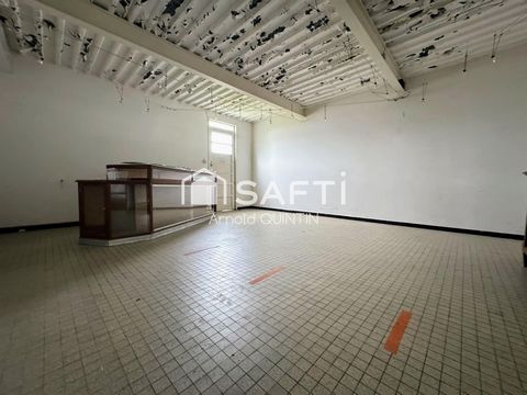 photo no. 6