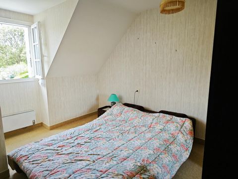 photo no. 7