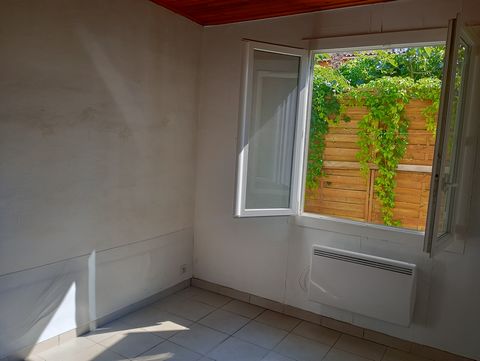 photo no. 6