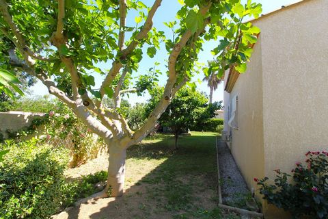 photo no. 14