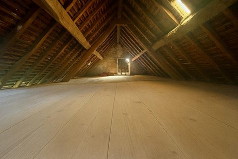 photo no. 8