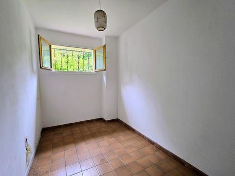 photo no. 19