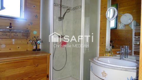 photo no. 9