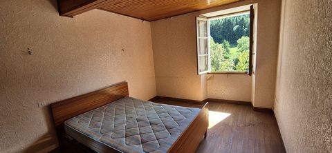 photo no. 9