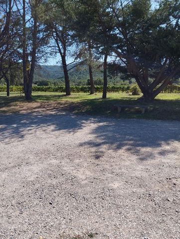 photo no. 11