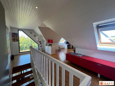 photo no. 11