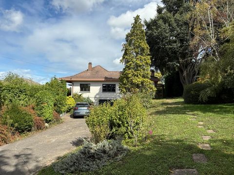 photo no. 1